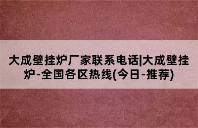 大成壁挂炉厂家联系电话|大成壁挂炉-全国各区热线(今日-推荐)